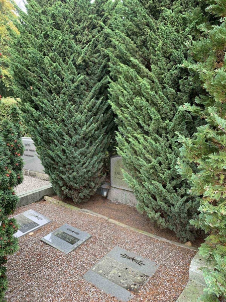 Grave number: NK IX   139