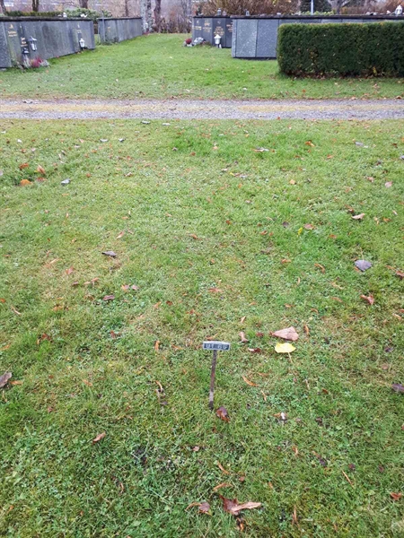 Hautatunnus: GK U 1    65