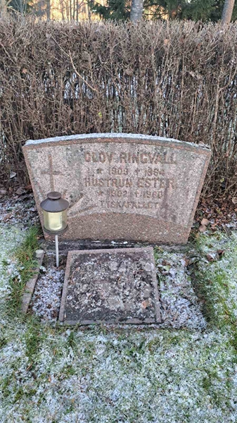 Gravnummer: 6 05    183, 184