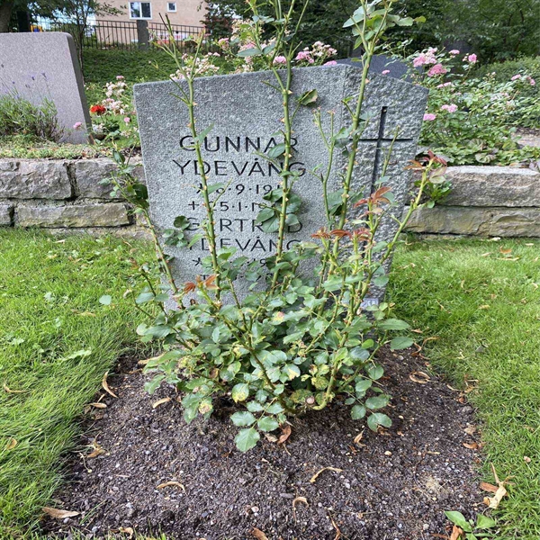 Gravnummer: 1 T   221