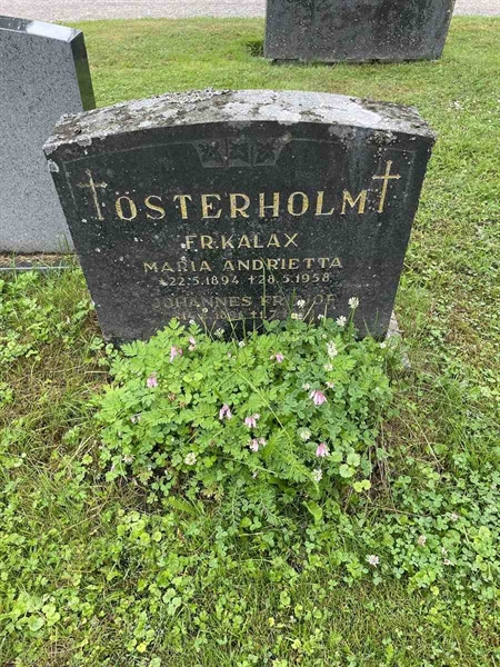 Gravnummer: N 4 4   514