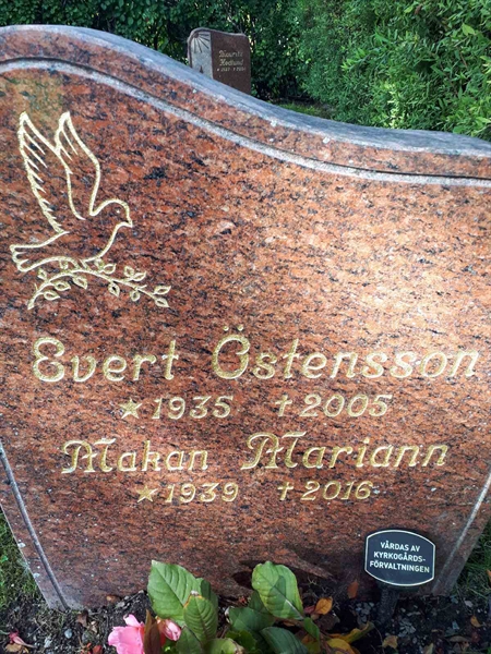 Hautatunnus: NK F D   469