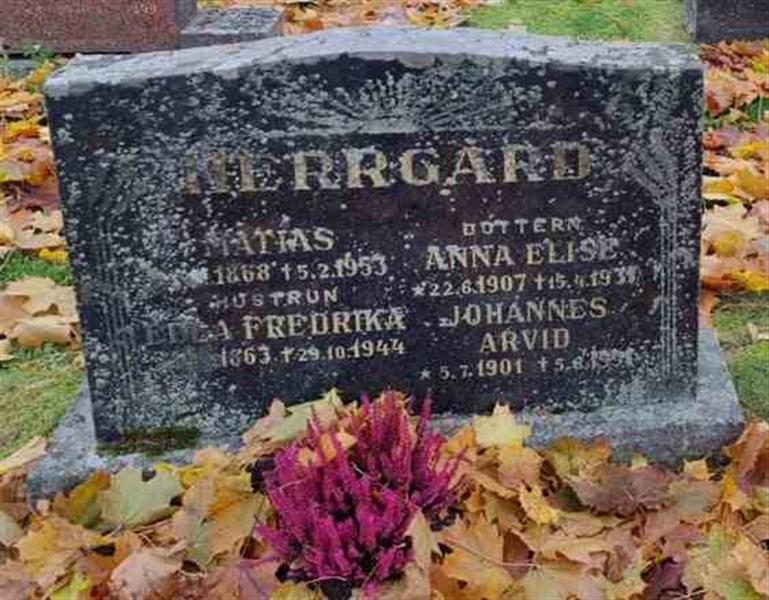 Hautatunnus: 1 GC 01      5