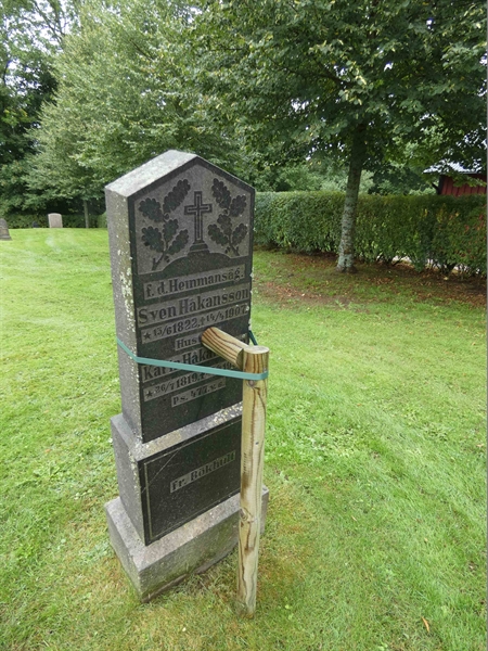 Grave number: TÖ 6   445