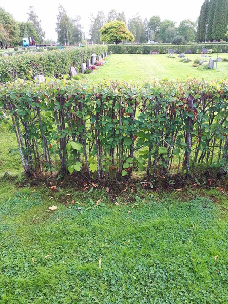 Gravnummer: NK F A    87