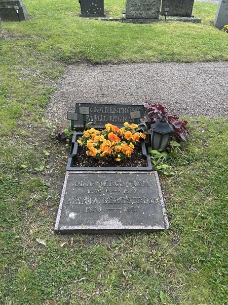 Grave number: SI 3   372, 373, 374