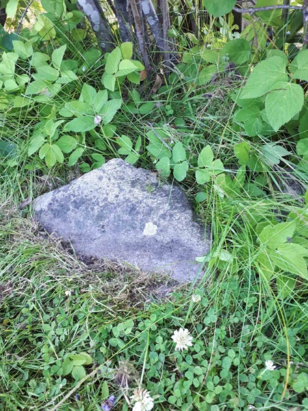 Hautatunnus: GK A 5   160H