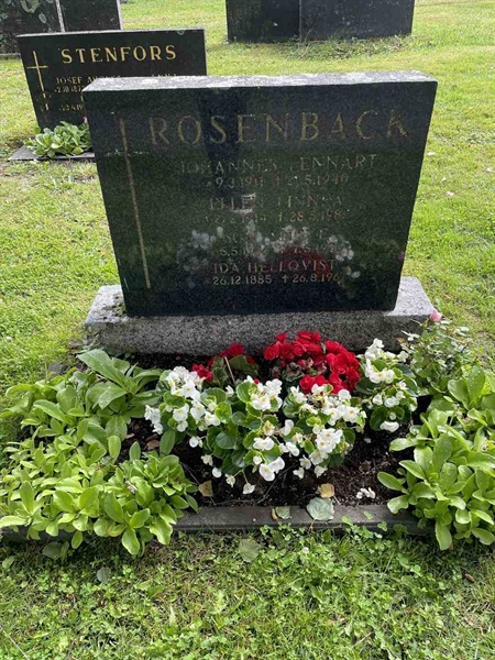 Grave number: N 4 2   294-295