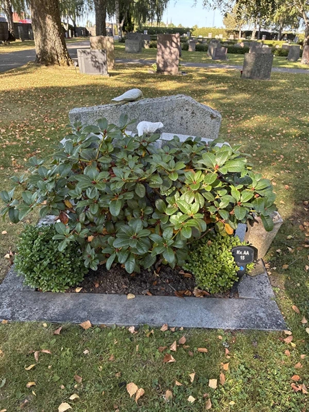Grave number: 22 AA    15
