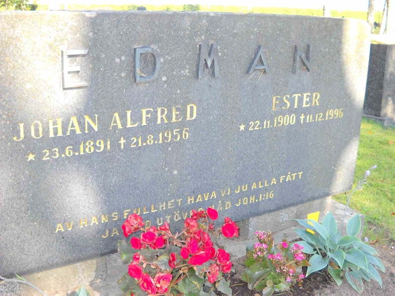 Grave number: 3 MB 18 4, 7