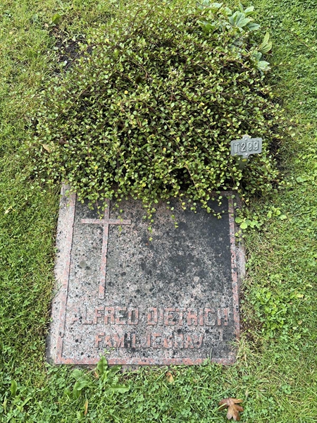 Hautatunnus: 1 T   299
