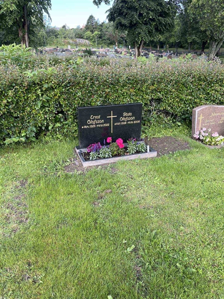 Hautatunnus: 7 09   134-135