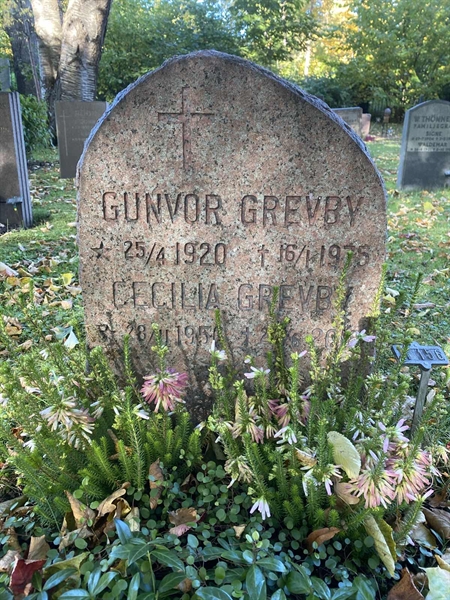 Hautatunnus: 1 H   156