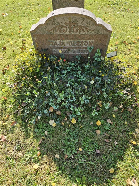 Grave number: Fr 7   615