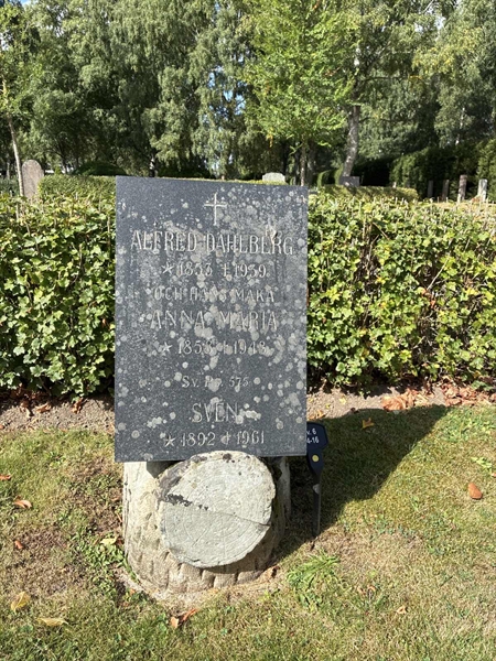 Grave number: 33 6    14-16