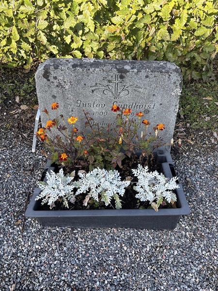 Grave number: 4 N NE    31