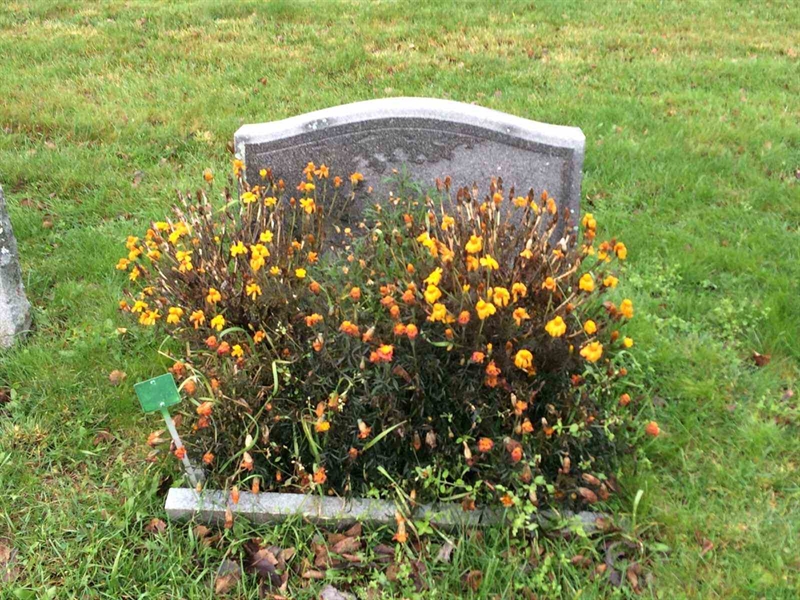 Grave number: 3 1780