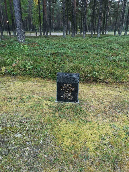 Hautatunnus: VLM 10    22:1