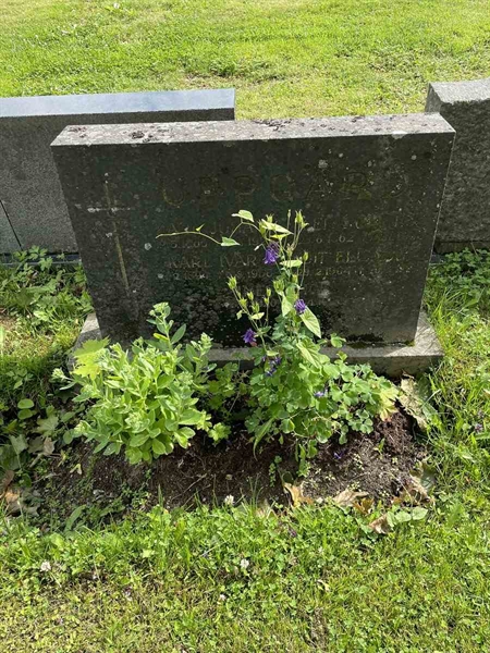Grave number: N 4 1    55