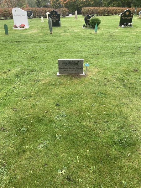 Hautatunnus: 1 3 M/Be   107