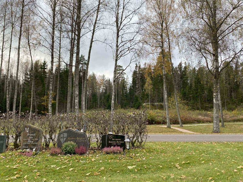 Hautatunnus: 1 29     44