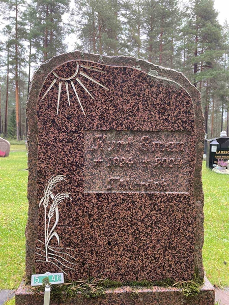 Grave number: 3 5   146