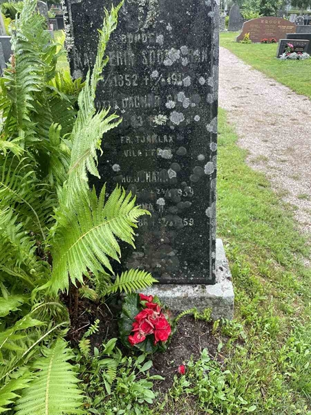 Hautatunnus: N 4 4   675b