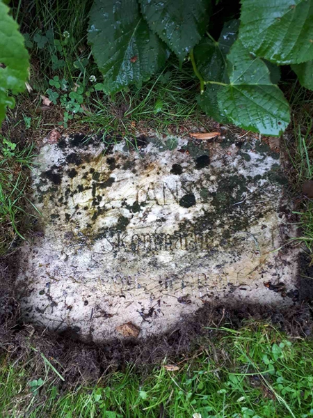 Gravnummer: GK F 5   567