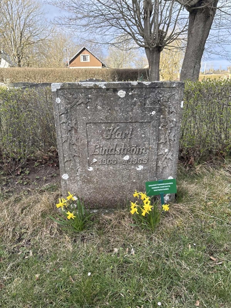 Grave number: LO 117