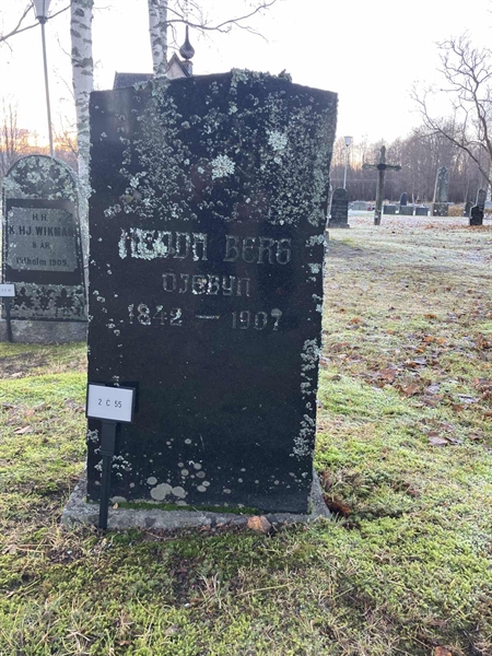 Hautatunnus: 2 C    55