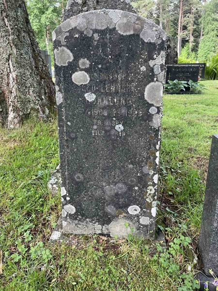 Gravnummer: N 4 3   370