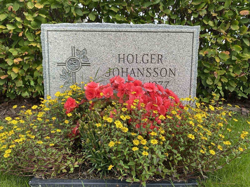 Grave number: 1 19    231