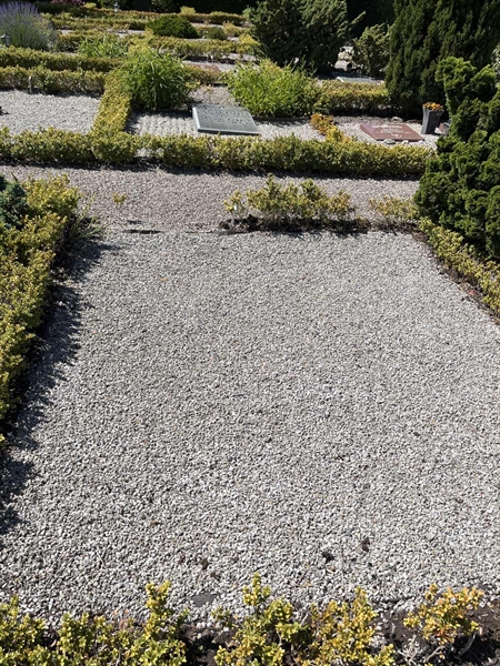 Hautatunnus: NK D 100-101