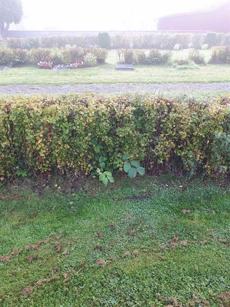 Gravnummer: NK F G   264