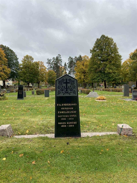 Gravnummer: 1 03     30, 31