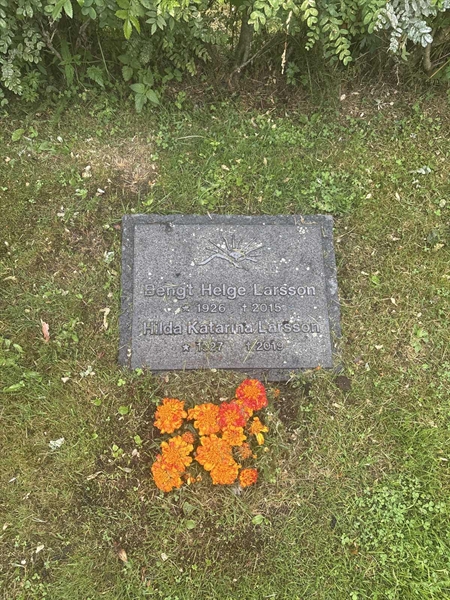 Grave number: 002 2     0LU8