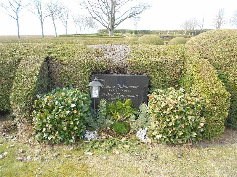 Grave number: V 29   148