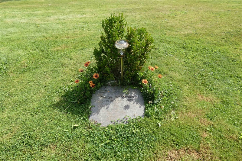 Grave number: TR C    24