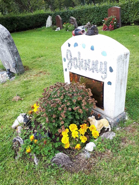 Hautatunnus: NK F D    74