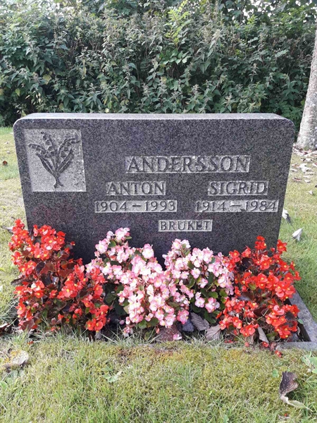 Grave number: TÖ 1    14