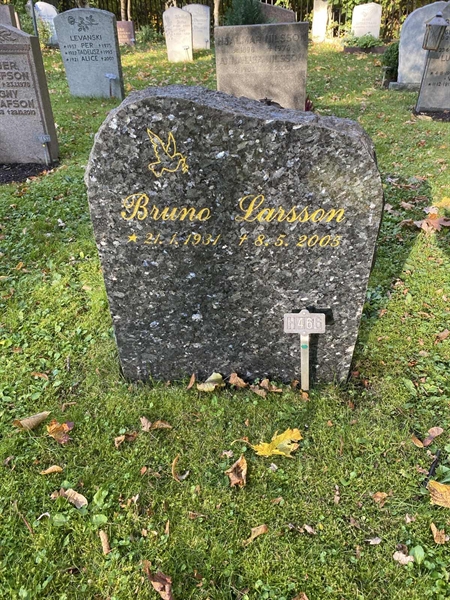 Gravnummer: 1 H   466