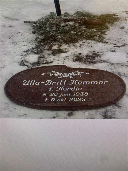 Hautatunnus: 1 F   230