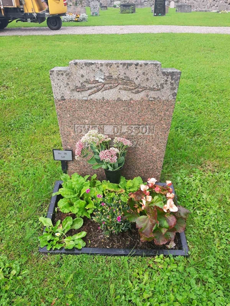 Grave number: 3 06  591