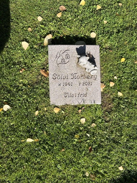 Grave number: 30ST TALL    98