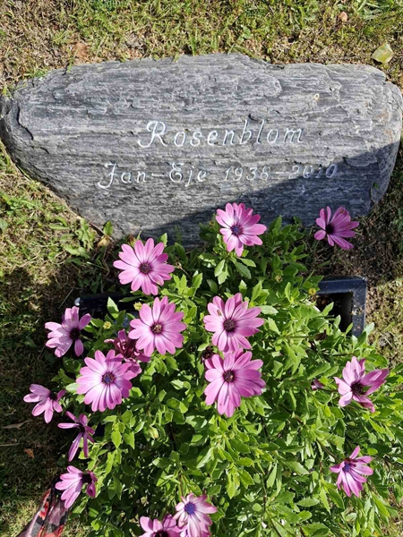 Grave number: AK D  6197