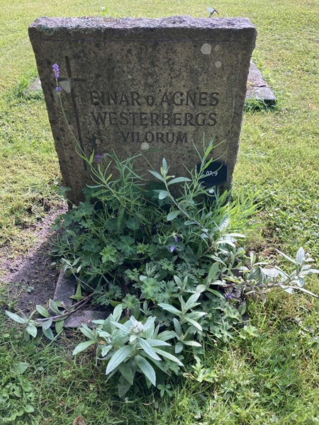 Grave number: 1 07     9