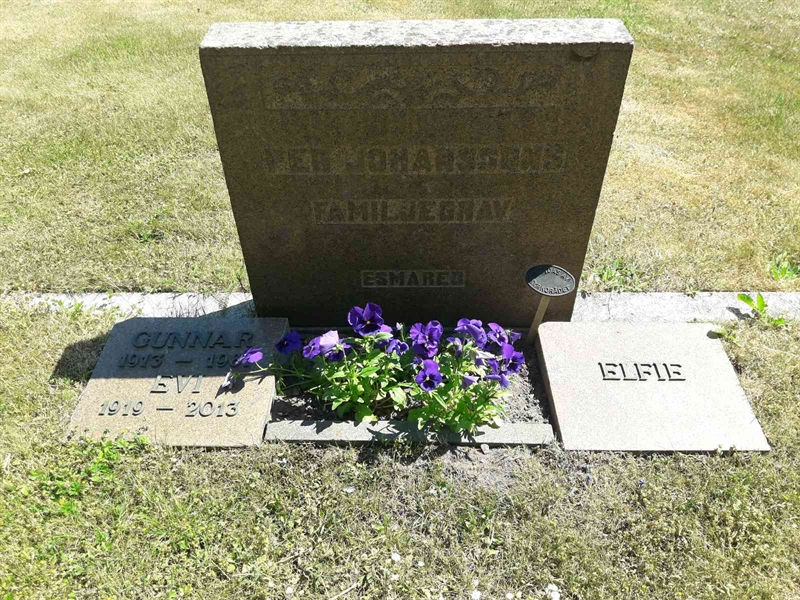 Grave number: TÖ 4   110