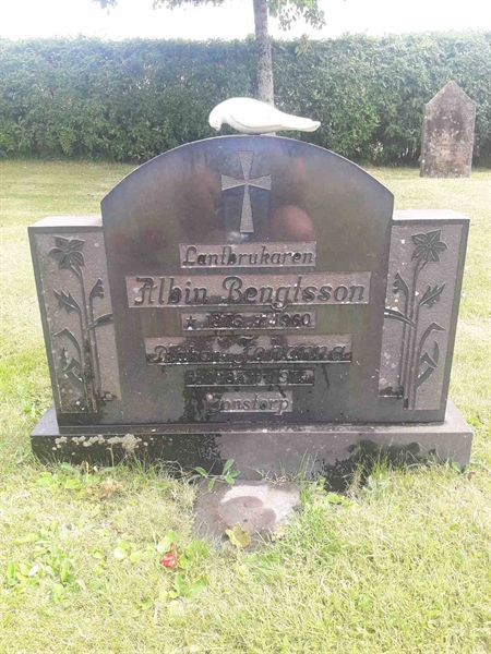 Grave number: TÖ 3    74