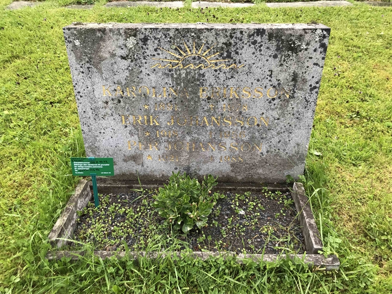 Grave number: UN H    40, 41, 42