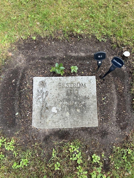 Grave number: 1 18     3